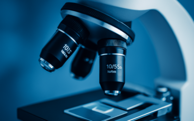 When the Regulator Brings a Microscope: Lessons from AUSTRAC v Entain